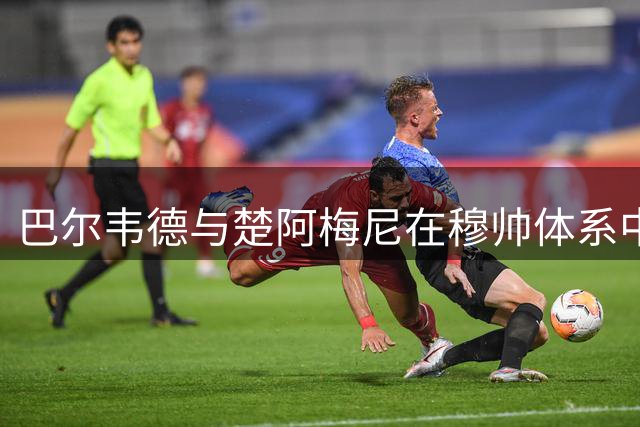 巴尔韦德与楚阿梅尼在穆帅体系中的角色定位